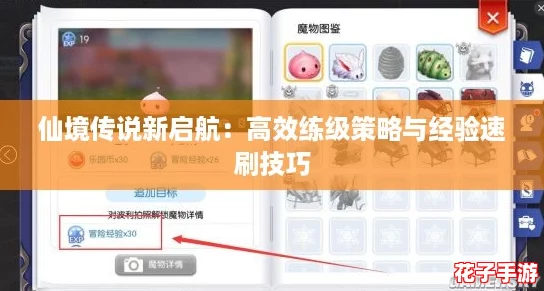 仙境传说新启航：高效练级策略与经验速刷技巧