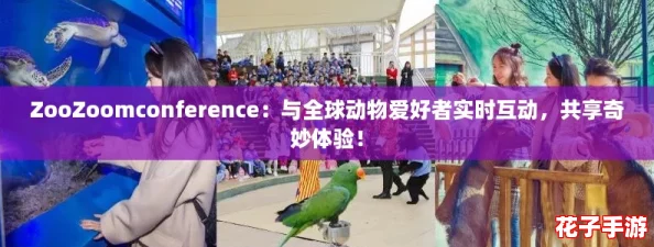 ZooZoomconference：与全球动物爱好者实时互动，共享奇妙体验！