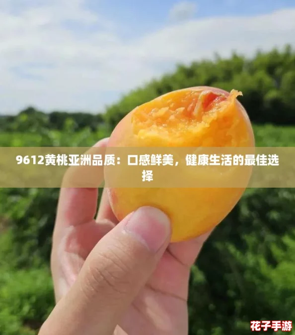 9612黄桃亚洲品质：口感鲜美，健康生活的最佳选择