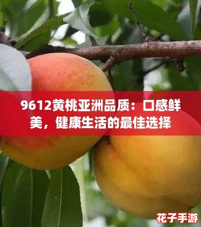9612黄桃亚洲品质：口感鲜美，健康生活的最佳选择