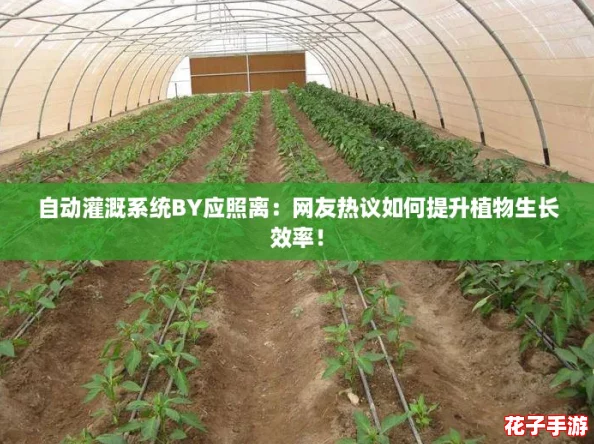 自动灌溉系统BY应照离：网友热议如何提升植物生长效率！