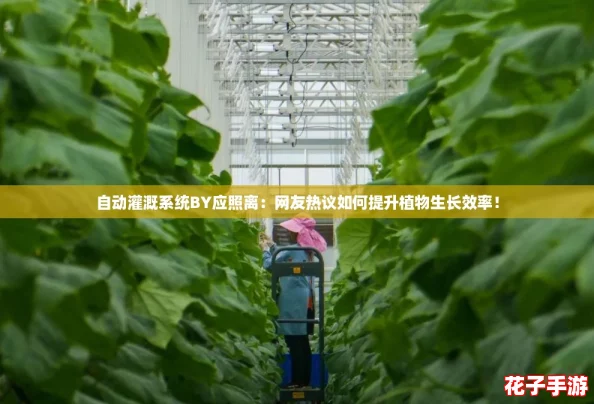 自动灌溉系统BY应照离:网友热议如何提升植物生长效率! 自动灌溉系统BY应照离:网友热议如何提升植物生长效率!