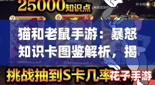 猫和老鼠手游：暴怒知识卡图鉴解析，揭秘最佳适配角色选择