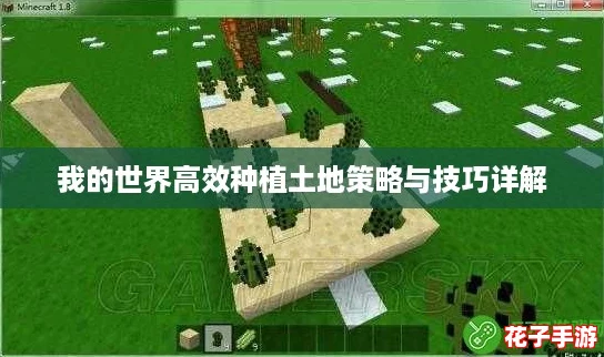 我的世界高效种植土地策略与技巧详解