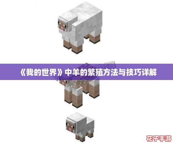 《我的世界》中羊的繁殖方法与技巧详解