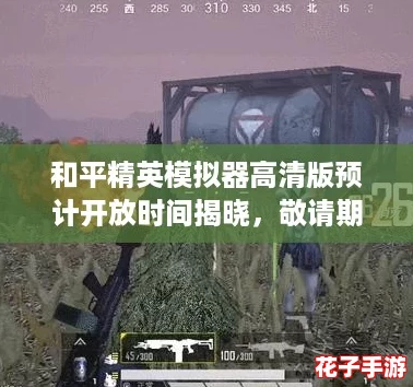 和平精英模拟器高清版预计开放时间揭晓,敬请期待! 和平精英模拟器高清版预计开放时间揭晓,敬请期待!