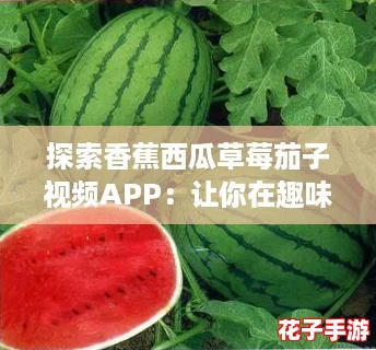 探索香蕉西瓜草莓茄子视频APP：让你在趣味中发现生活的无限可能！