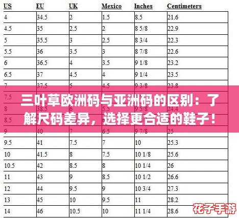 三叶草欧洲码与亚洲码的区别：了解尺码差异，选择更合适的鞋子！