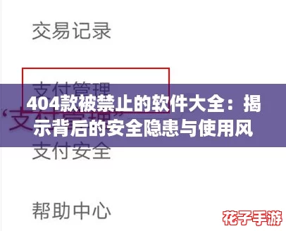 404款被禁止的软件大全:揭示背后的安全隐患与使用风险 404款被禁止的软件大全:揭示背后的安全隐患与使用风险