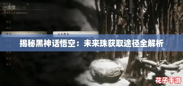 揭秘黑神话悟空：未来珠获取途径全解析