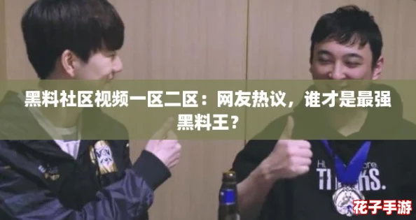 黑料社区视频一区二区：网友热议，谁才是最强黑料王？
