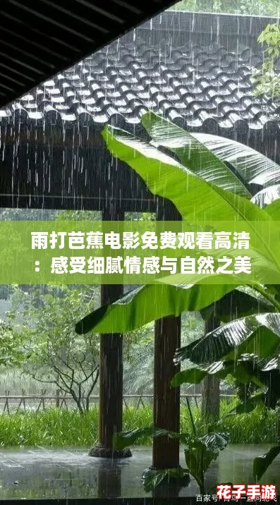 雨打芭蕉电影免费观看高清：感受细腻情感与自然之美的完美结合