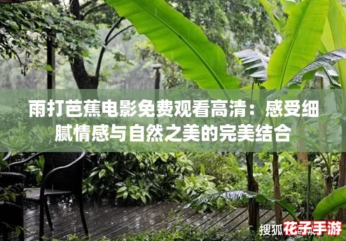 雨打芭蕉电影免费观看高清：感受细腻情感与自然之美的完美结合
