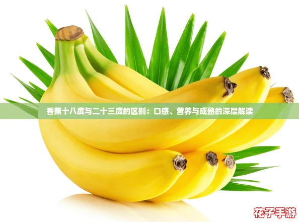 香蕉十八度与二十三度的区别：口感、营养与成熟的深层解读