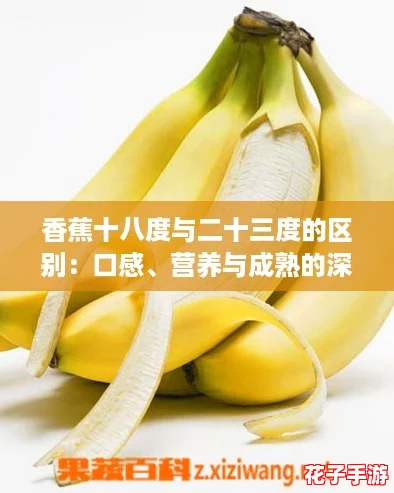 香蕉十八度与二十三度的区别：口感、营养与成熟的深层解读