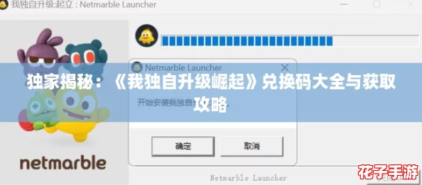 独家揭秘：《我独自升级崛起》兑换码大全与获取攻略