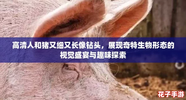 高清人和猪又细又长像钻头，展现奇特生物形态的视觉盛宴与趣味探索
