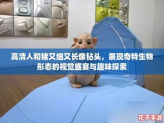 高清人和猪又细又长像钻头,展现奇特生物形态的视觉盛宴与趣味探索 高清人和猪又细又长像钻头,展现奇特生物形态的视觉盛宴与趣味探索