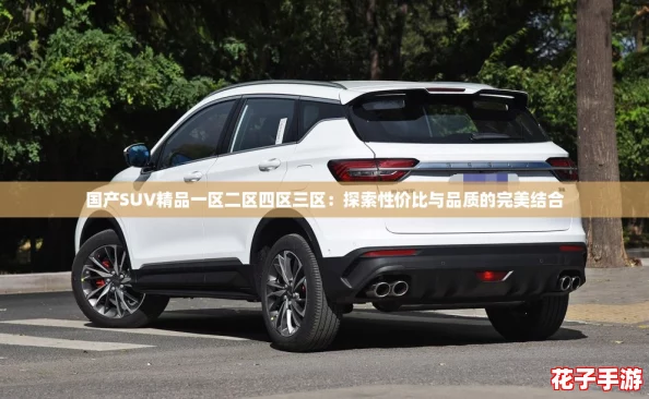 国产SUV精品一区二区四区三区：探索性价比与品质的完美结合