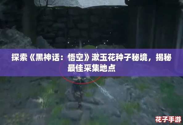 探索《黑神话：悟空》漱玉花种子秘境，揭秘最佳采集地点