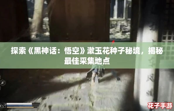 探索《黑神话:悟空》漱玉花种子秘境,揭秘最佳采集地点 探索《黑神话:悟空》漱玉花种子秘境,揭秘最佳采集地点
