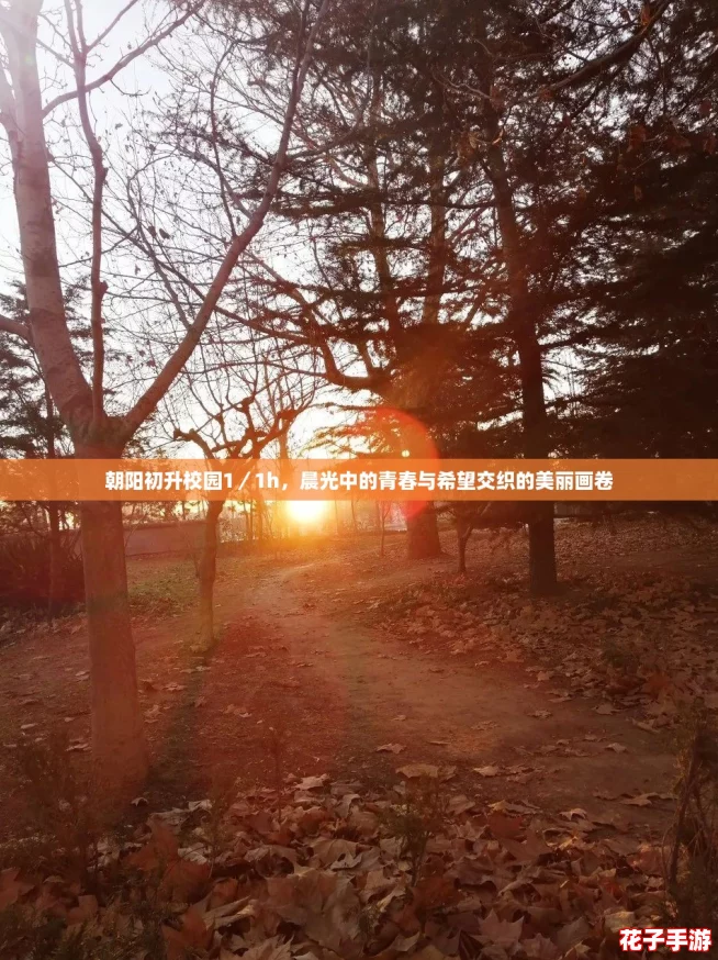 朝阳初升校园1／1h，晨光中的青春与希望交织的美丽画卷