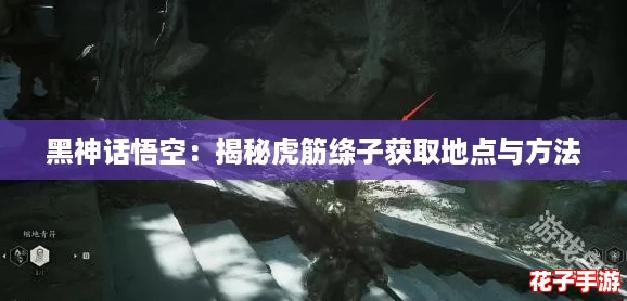 黑神话悟空：揭秘虎筋绦子获取地点与方法