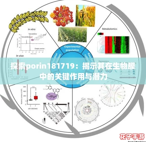 探索porin181719：揭示其在生物膜中的关键作用与潜力