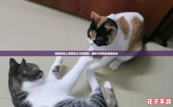 被摁在地上摩擦怎么巧妙回复：幽默与智慧的完美结合