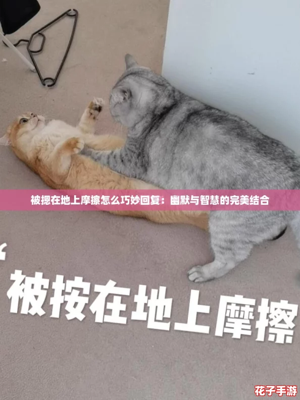 被摁在地上摩擦怎么巧妙回复：幽默与智慧的完美结合