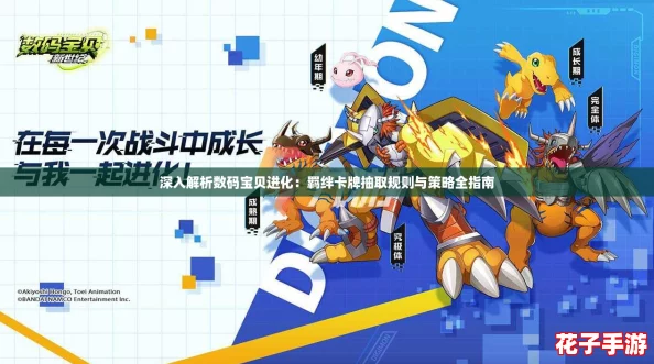 深入解析数码宝贝进化：羁绊卡牌抽取规则与策略全指南