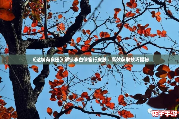 《这城有良田》解锁李白侠客行皮肤：高效获取技巧揭秘