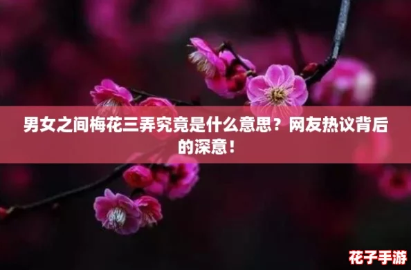 男女之间梅花三弄究竟是什么意思?网友热议背后的深意! 男女之间梅花三弄究竟是什么意思?网友热议背后的深意!