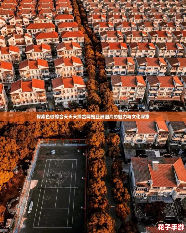 探索色欲综合天天天综合网站亚洲图片的魅力与文化深意 探索色欲综合天天天综合网站亚洲图片的魅力与文化深意