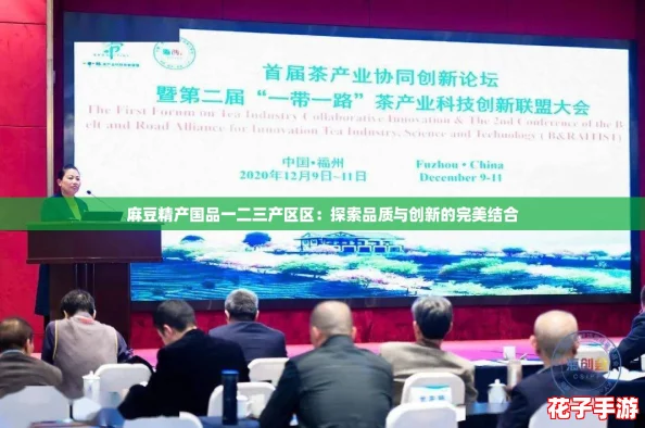 麻豆精产国品一二三产区区：探索品质与创新的完美结合