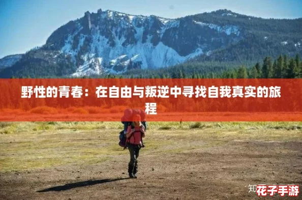 野性的青春：在自由与叛逆中寻找自我真实的旅程