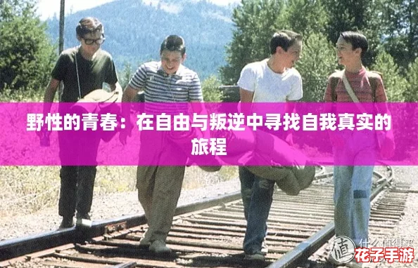 野性的青春：在自由与叛逆中寻找自我真实的旅程