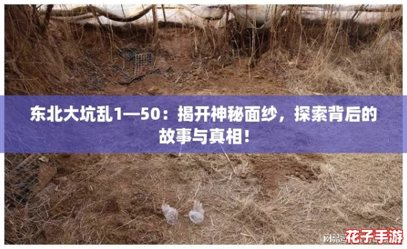 东北大坑乱1—50：揭开神秘面纱，探索背后的故事与真相！