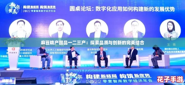 麻豆精产国品一二三产：探索品质与创新的完美结合