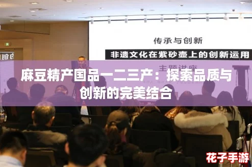 麻豆精产国品一二三产：探索品质与创新的完美结合