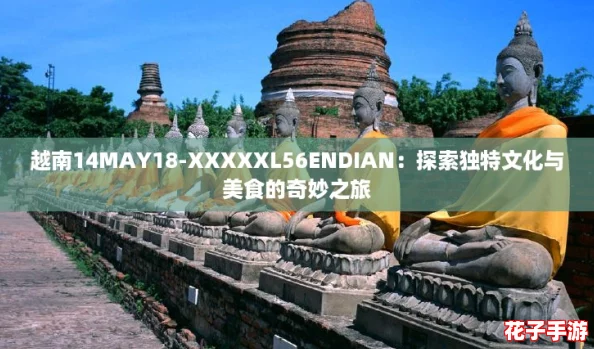 越南14MAY18-XXXXXL56ENDIAN：探索独特文化与美食的奇妙之旅