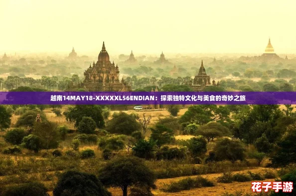 越南14MAY18-XXXXXL56ENDIAN：探索独特文化与美食的奇妙之旅