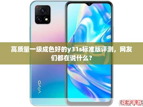 高质量一级成色好的y31s标准版评测，网友们都在说什么？