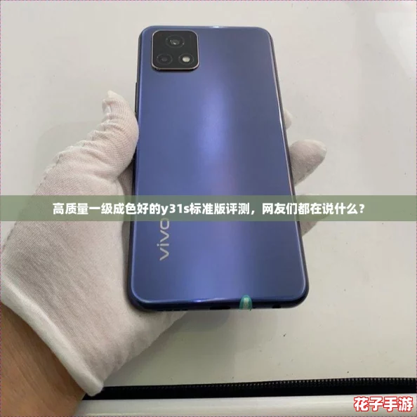 高质量一级成色好的y31s标准版评测,网友们都在说什么? 高质量一级成色好的y31s标准版评测,网友们都在说什么?