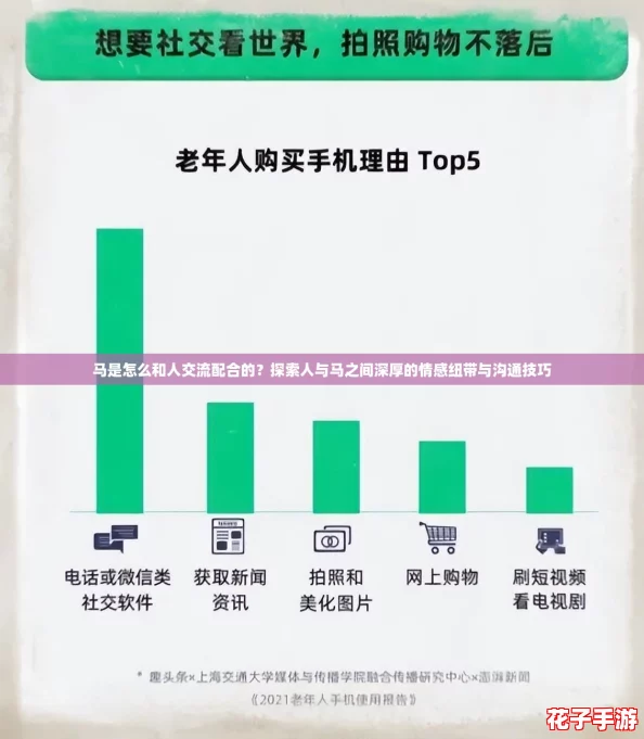 马是怎么和人交流配合的？探索人与马之间深厚的情感纽带与沟通技巧
