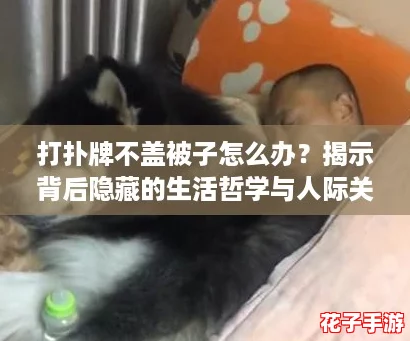 打扑牌不盖被子怎么办？揭示背后隐藏的生活哲学与人际关系智慧