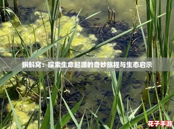 蝌蚪窝:探索生命起源的奇妙旅程与生态启示 蝌蚪窝:探索生命起源的奇妙旅程与生态启示