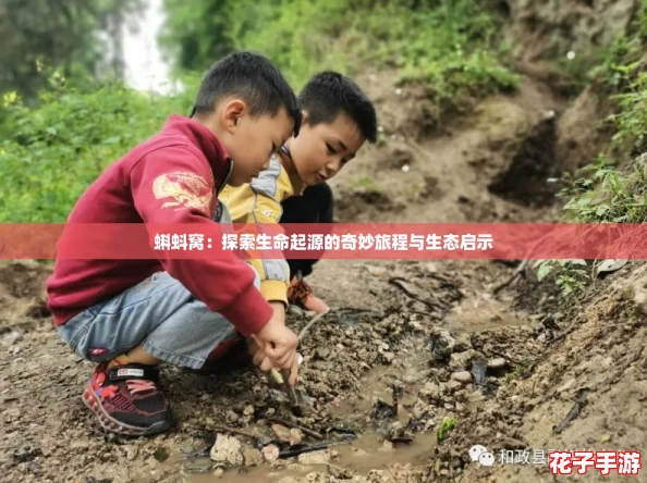 蝌蚪窝:探索生命起源的奇妙旅程与生态启示 蝌蚪窝:探索生命起源的奇妙旅程与生态启示