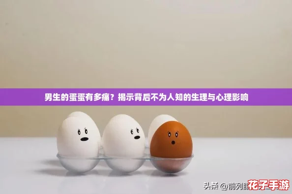 男生的蛋蛋有多痛?揭示背后不为人知的生理与心理影响 男生的蛋蛋有多痛?揭示背后不为人知的生理与心理影响