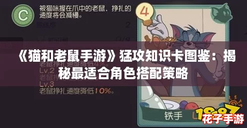 《猫和老鼠手游》猛攻知识卡图鉴：揭秘最适合角色搭配策略